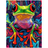 Colorful Frog Wall Art DW25
