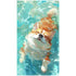 Cute Swimming Corgi Wall Art DW33