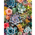 Desert Succulent Glow Kit 11.8" x 15.7"